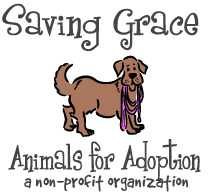 Saving Grace Animals for Adoption